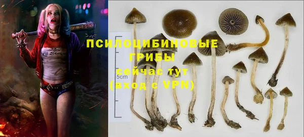 мет Арсеньев