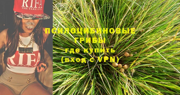 мет Арсеньев