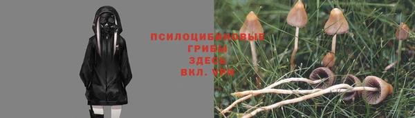 каннабис Аркадак