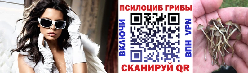 Галлюциногенные грибы MAGIC MUSHROOMS  Певек 